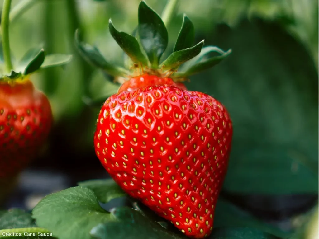 6 frutas que podem ajudar no controle da glicemia e prevenção do diabetes